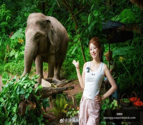芒果体育,芒果体育官网,芒果体育App,芒果体育官网,芒果体育App,芒果体育直播,芒果体育娱乐,芒果体育平台