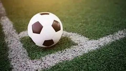 芒果体育 资讯 084931 yc9