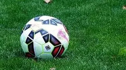 芒果体育 资讯 084923 xfn